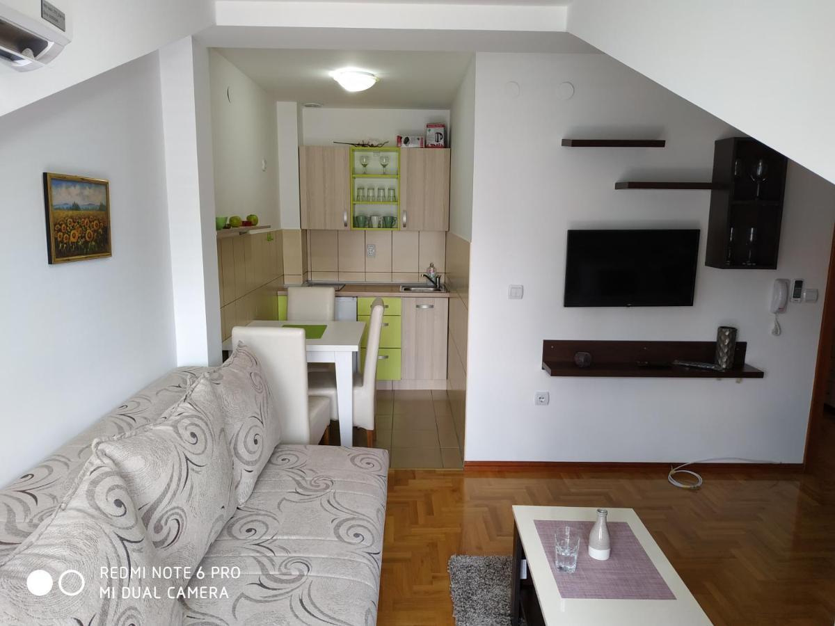 Apartman Zenit Vrnjačka Banja Екстериор снимка